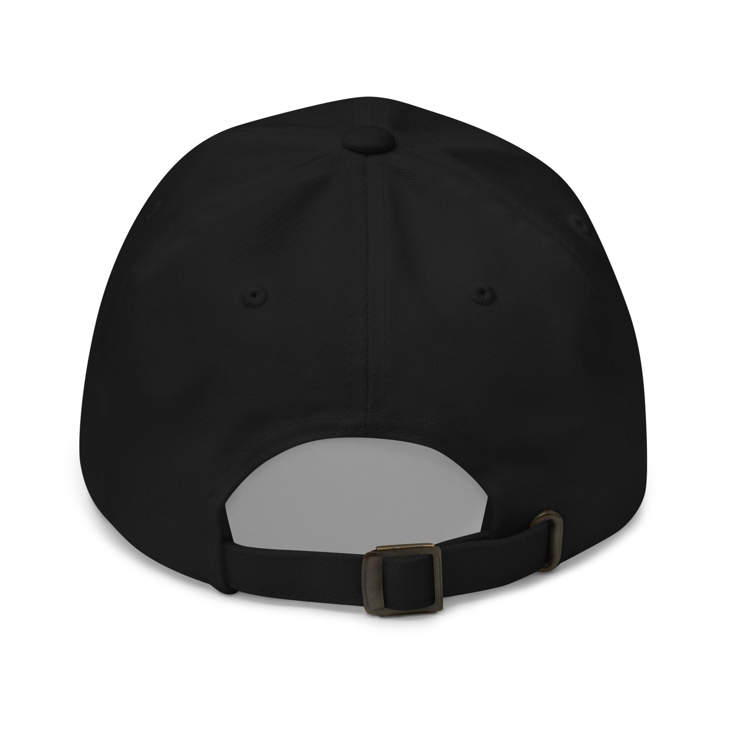BUT DO ALIENS BELIEVE IN ME? embroidered cap in Black, back view