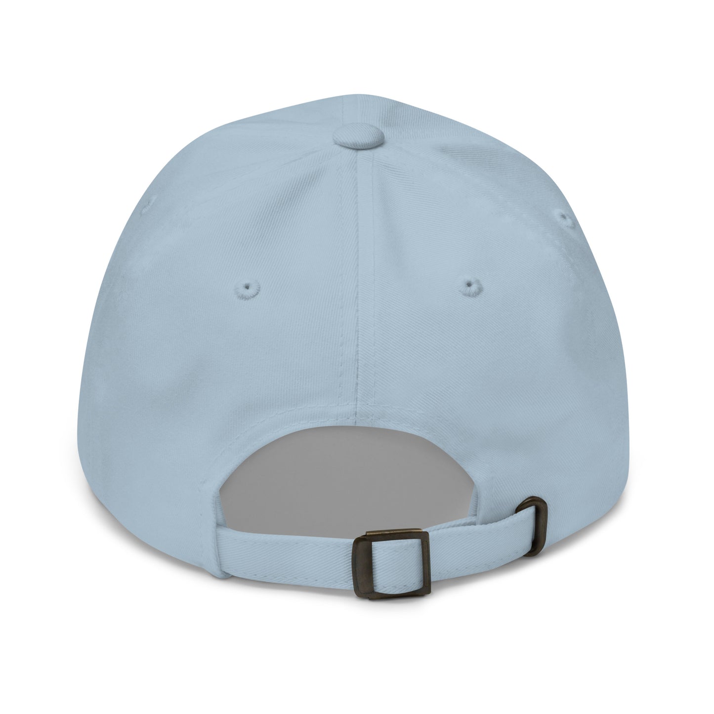 BUT DO ALIENS BELIEVE IN ME? embroidered cap in Light Blue, back view