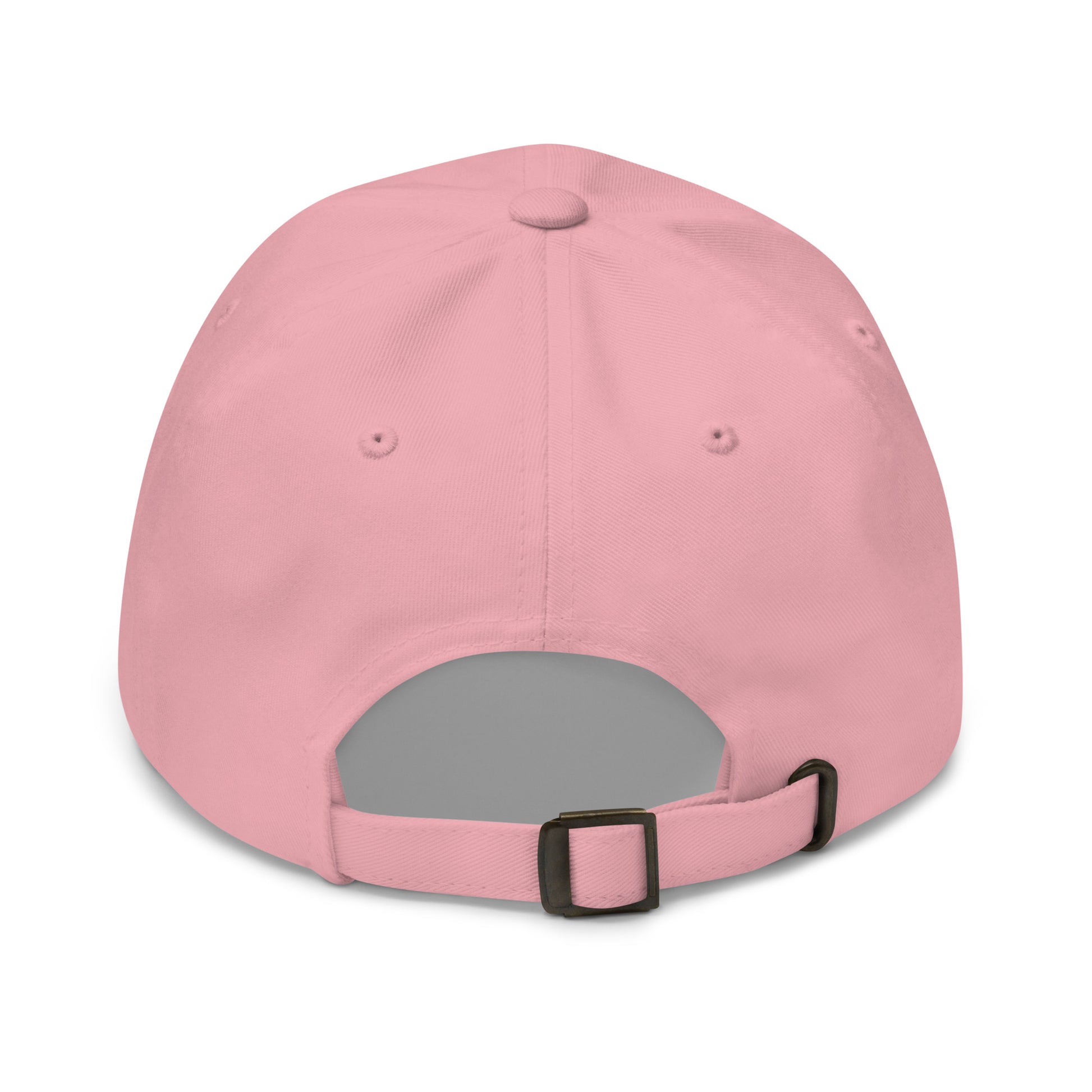 BUT DO ALIENS BELIEVE IN ME? embroidered cap in Pink, back view