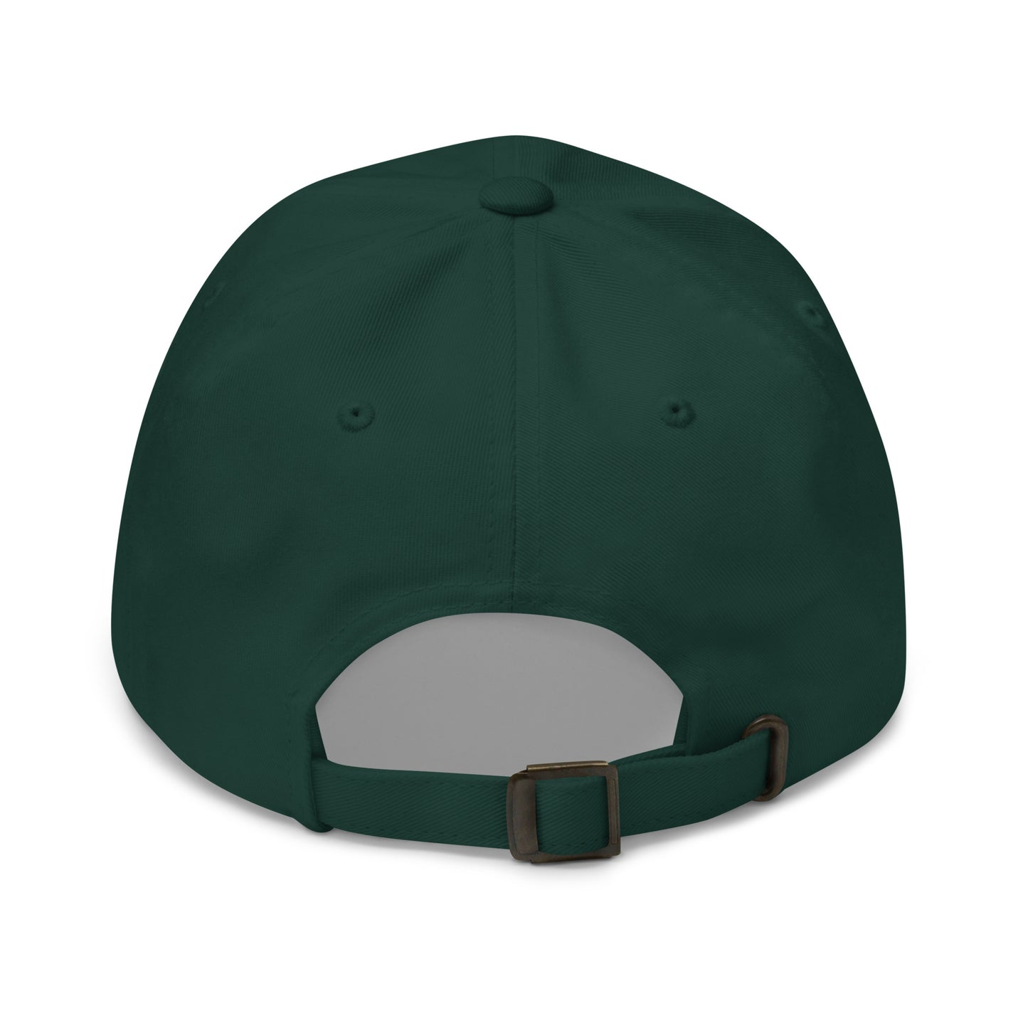 BUT DO ALIENS BELIEVE IN ME? embroidered cap in Spruce, back view