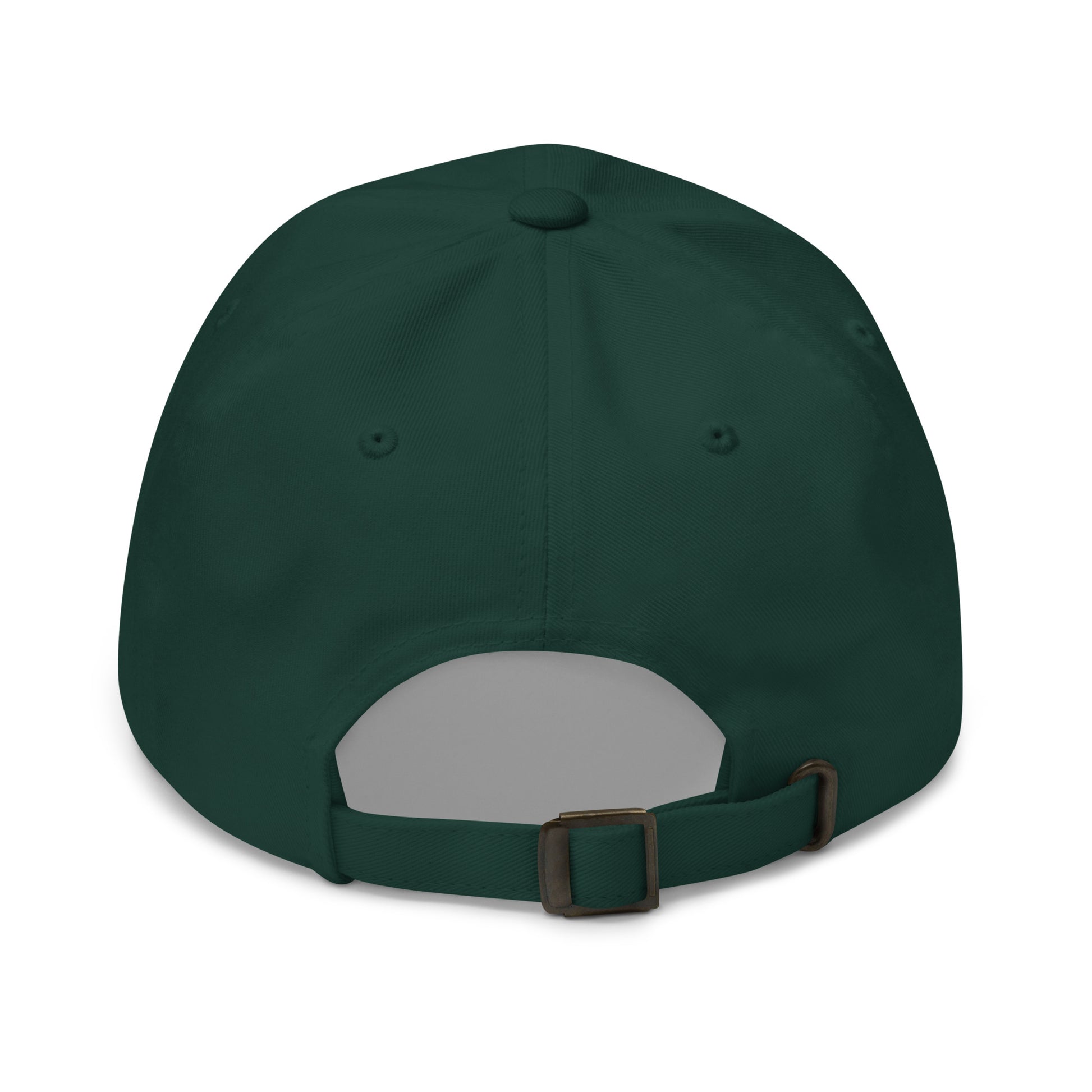 BUT DO ALIENS BELIEVE IN ME? embroidered cap in Spruce, back view