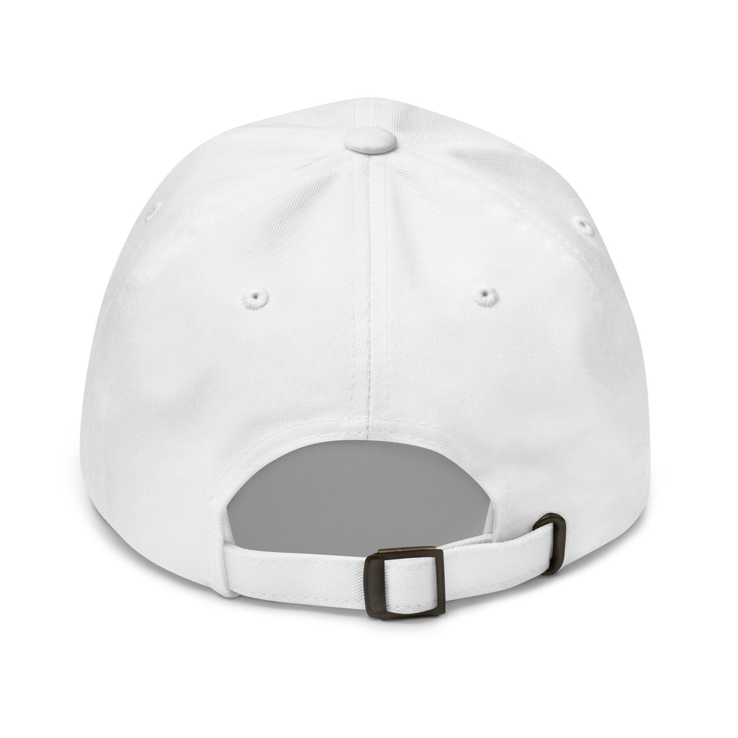 BUT DO ALIENS BELIEVE IN ME? embroidered cap in White, back view