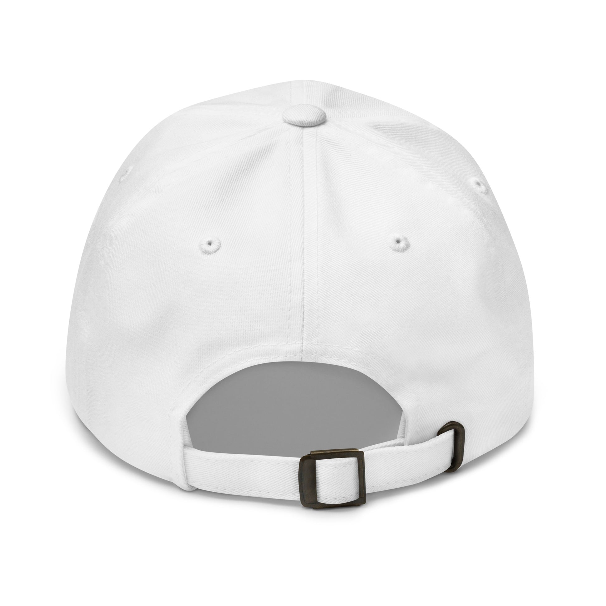 BUT DO ALIENS BELIEVE IN ME? embroidered cap in White, back view