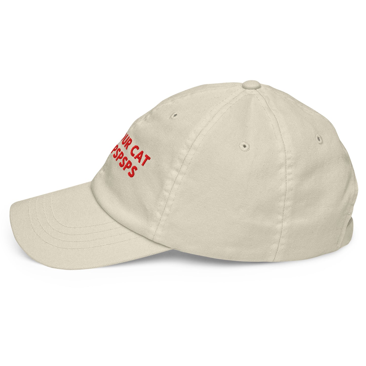 TELL YOUR CAT I SAID PSPSPS embroidered cap in Beige, left side view