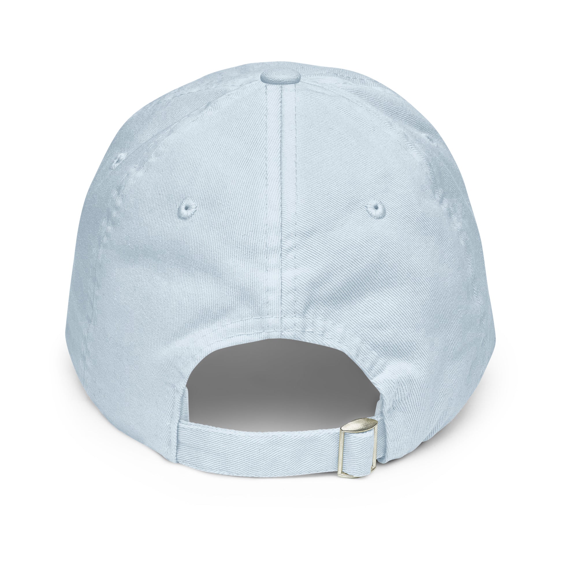 TELL YOUR CAT I SAID PSPSPS embroidered cap in Pastel Blue, back view