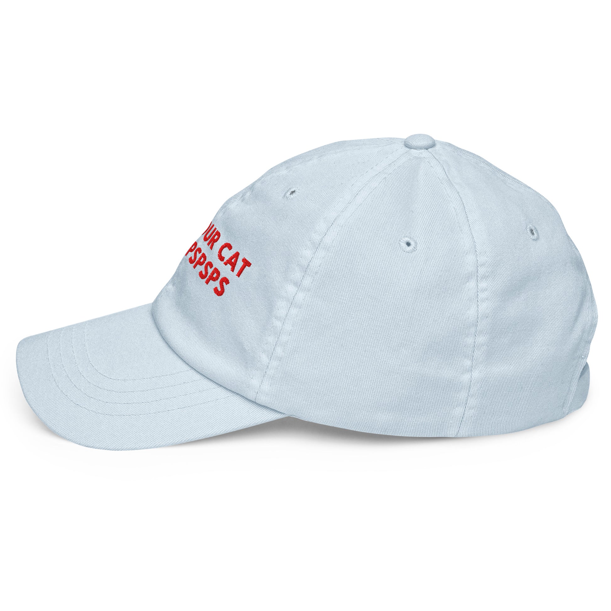 TELL YOUR CAT I SAID PSPSPS embroidered cap in Pastel Blue, left side view