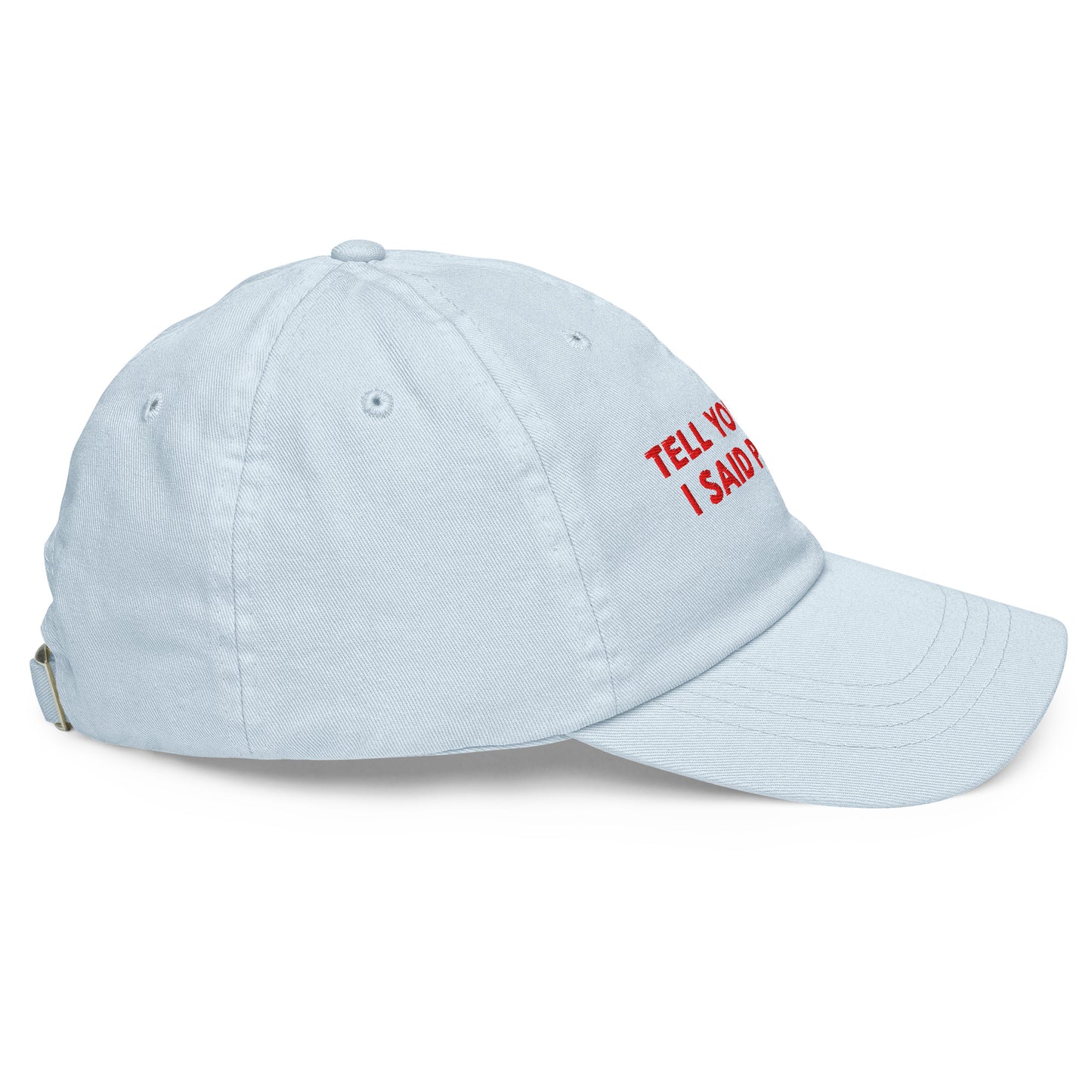 TELL YOUR CAT I SAID PSPSPS embroidered cap in Pastel Blue, right side view
