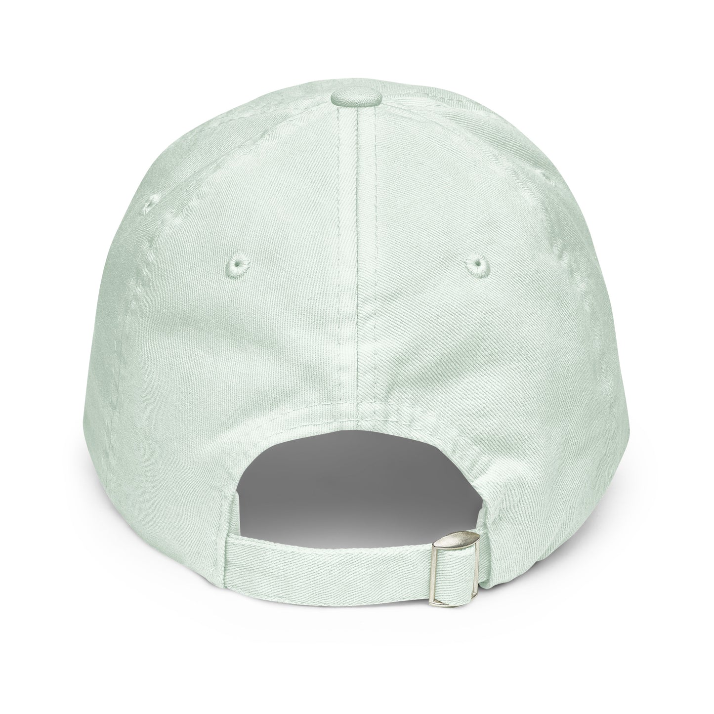 TELL YOUR CAT I SAID PSPSPS embroidered cap in Pastel Mint, back view