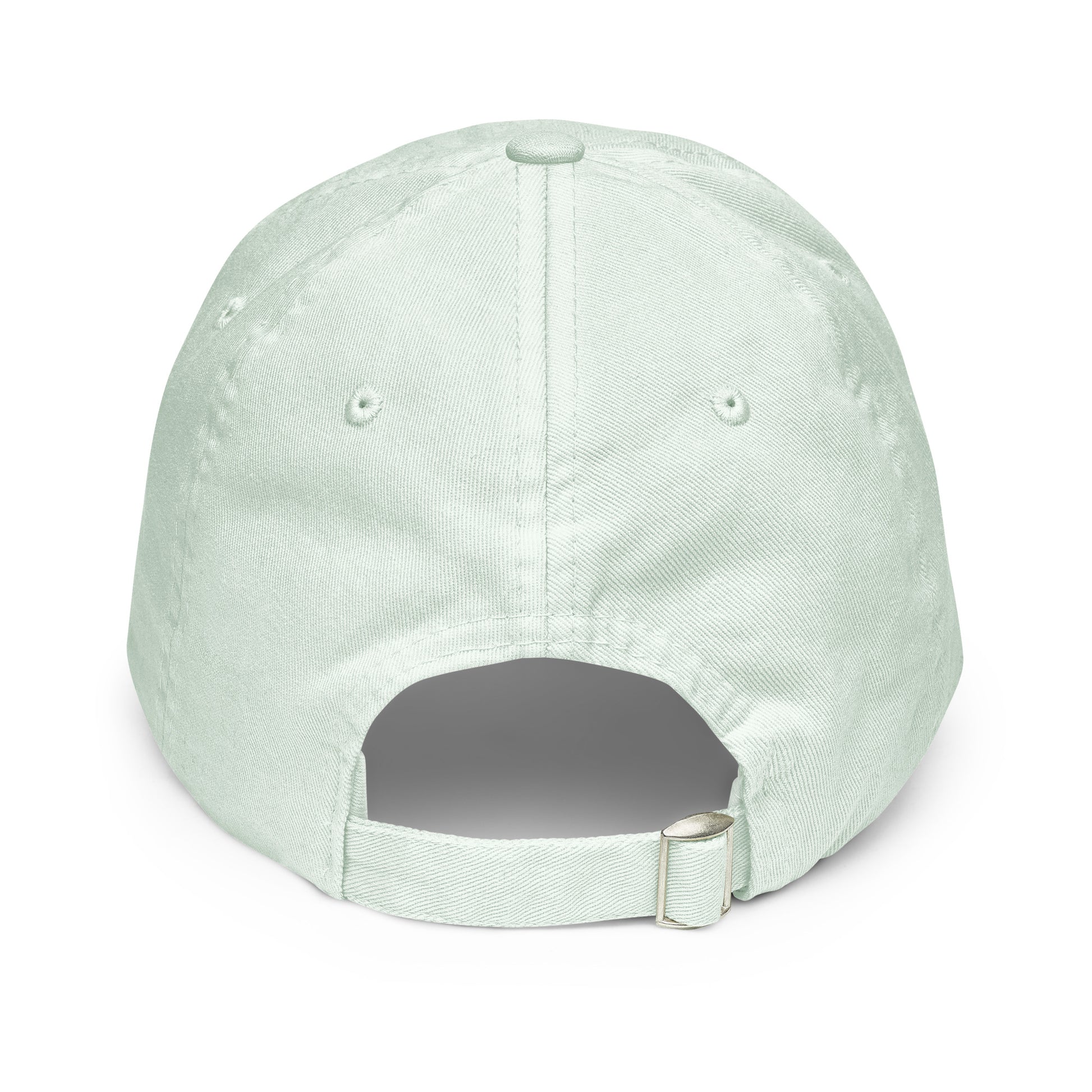 TELL YOUR CAT I SAID PSPSPS embroidered cap in Pastel Mint, back view
