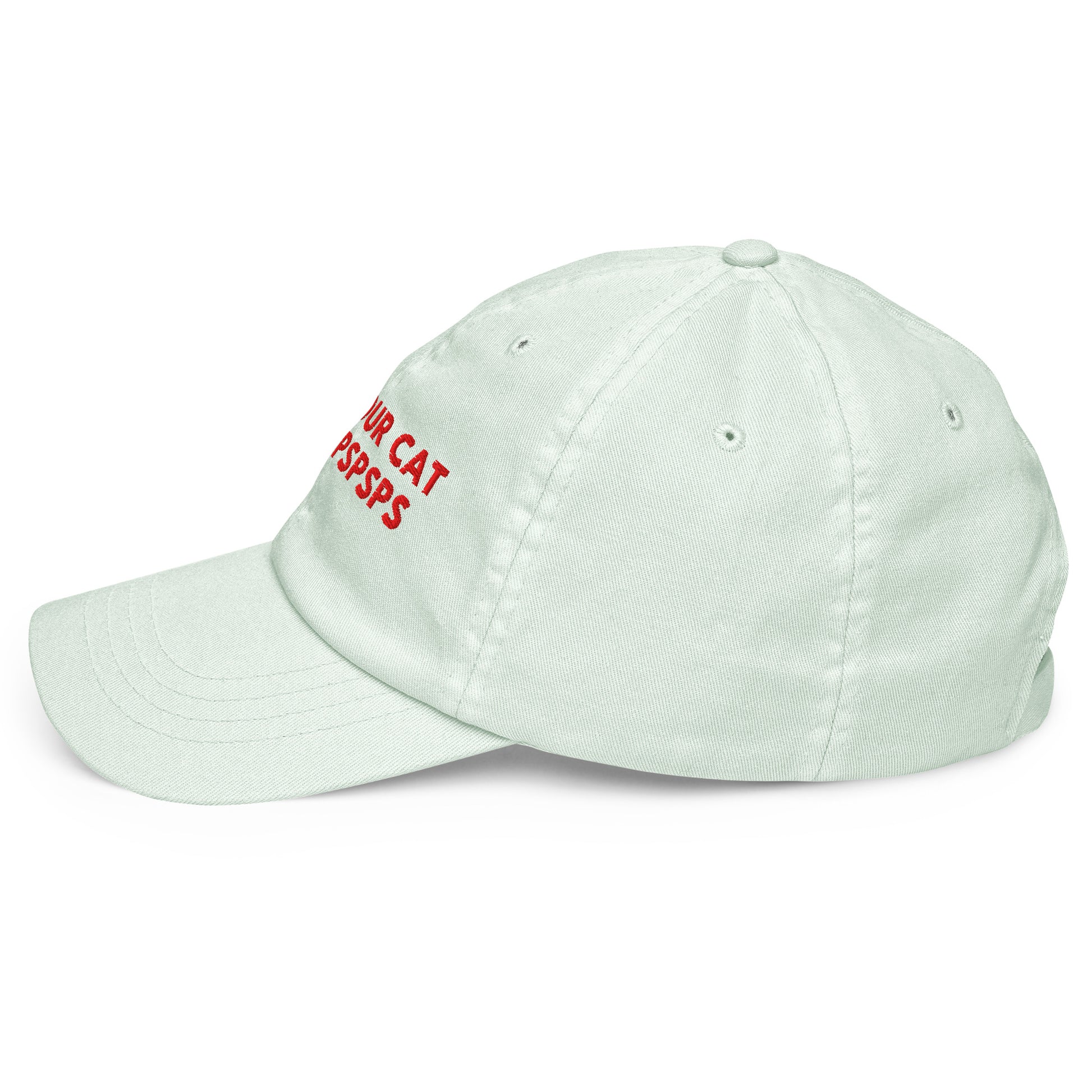 TELL YOUR CAT I SAID PSPSPS embroidered cap in Pastel Mint, left side view