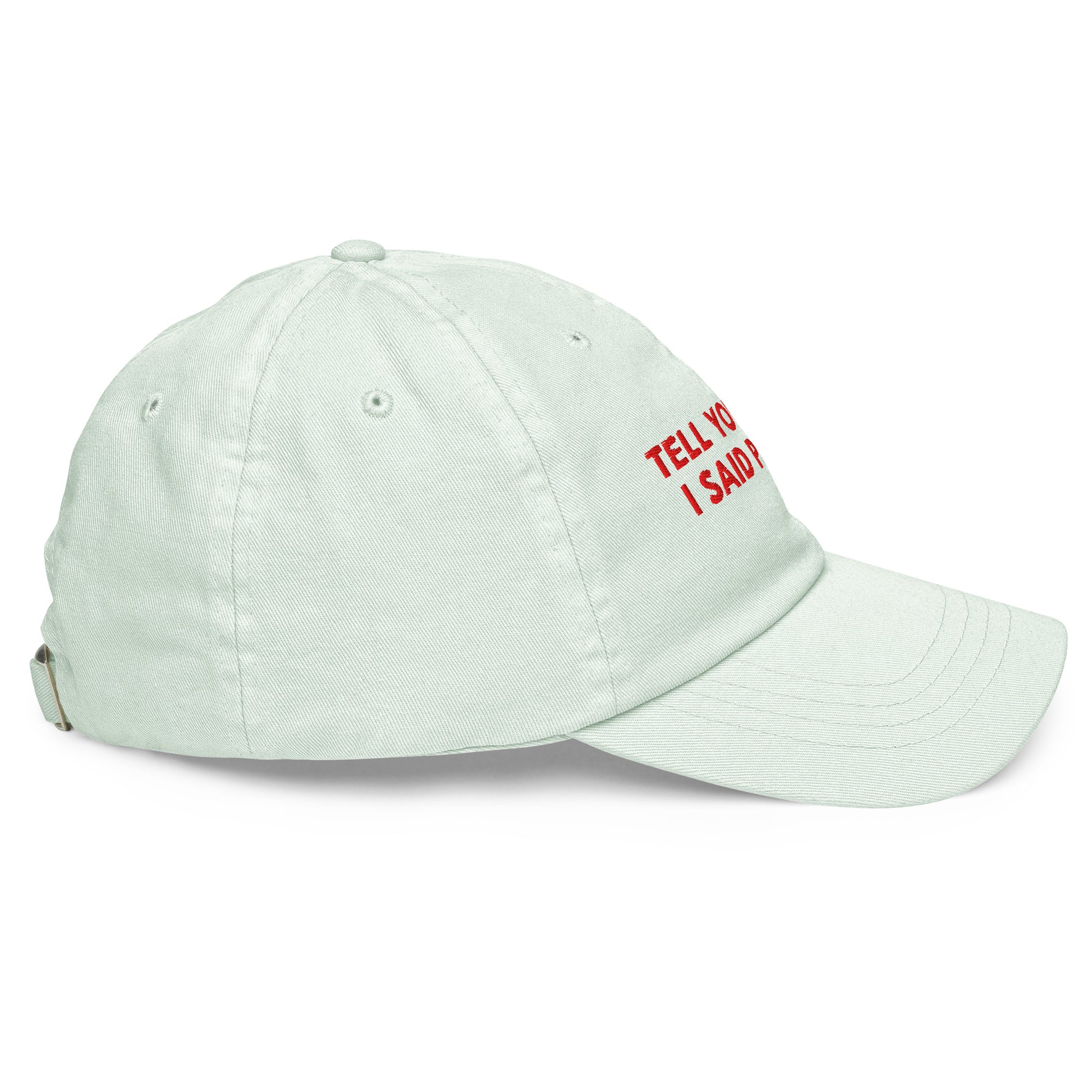 TELL YOUR CAT I SAID PSPSPS embroidered cap in Pastel Mint, right side view