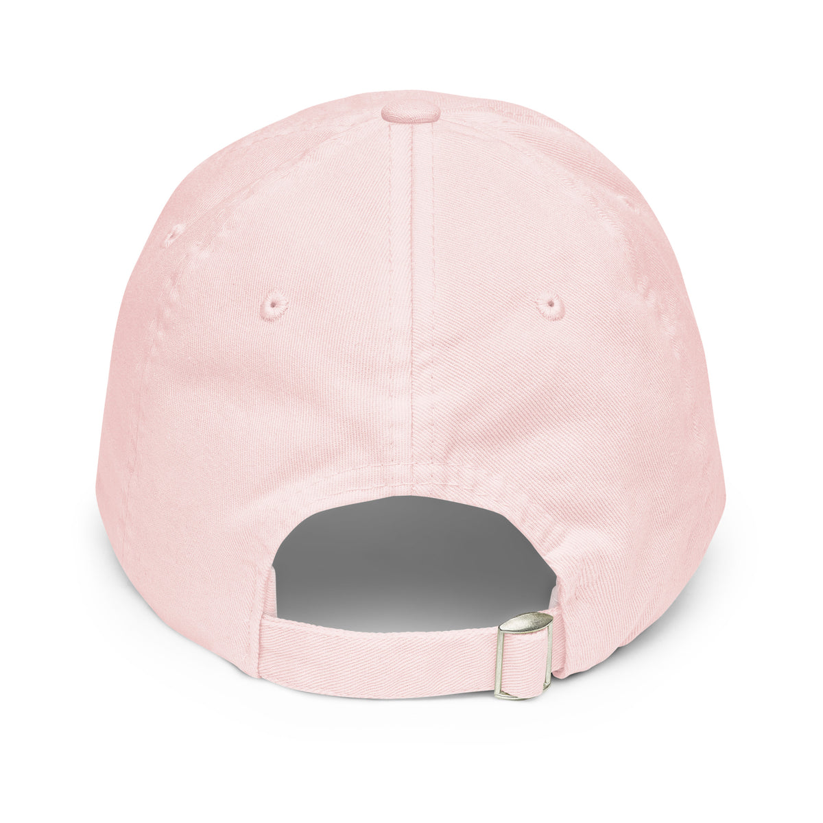 CAN'T COMPLAIN. WILL THOUGH. embroidered cap in Pastel Pink, back view